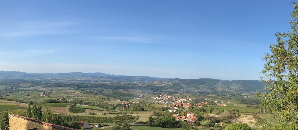 wine pano