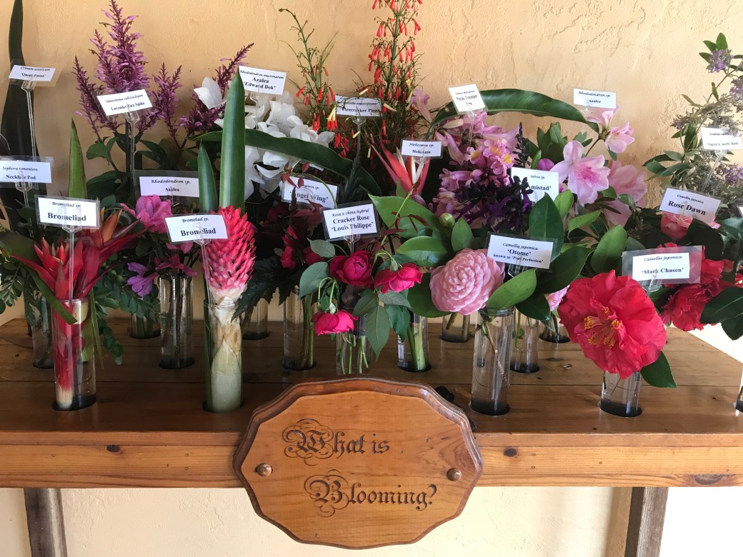 06B382AD-EBA1-43D7-A8AA-97213FDD83FF