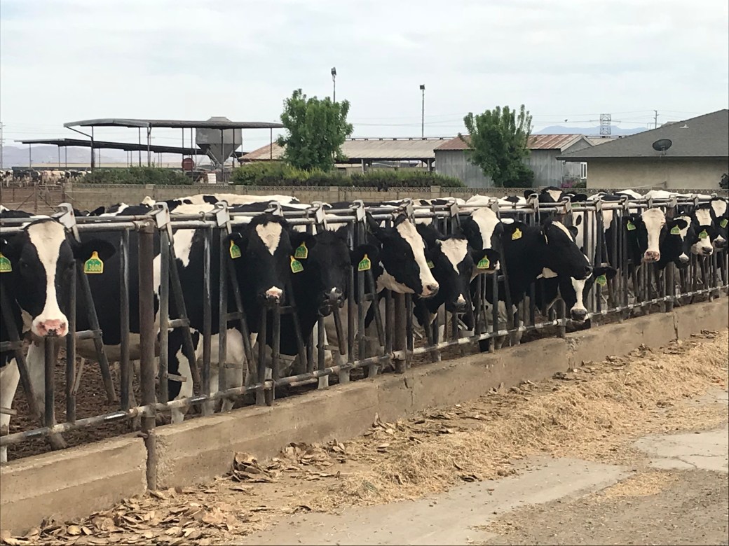 C36F2964-50A0-4C41-A95B-FE5DCED2B551