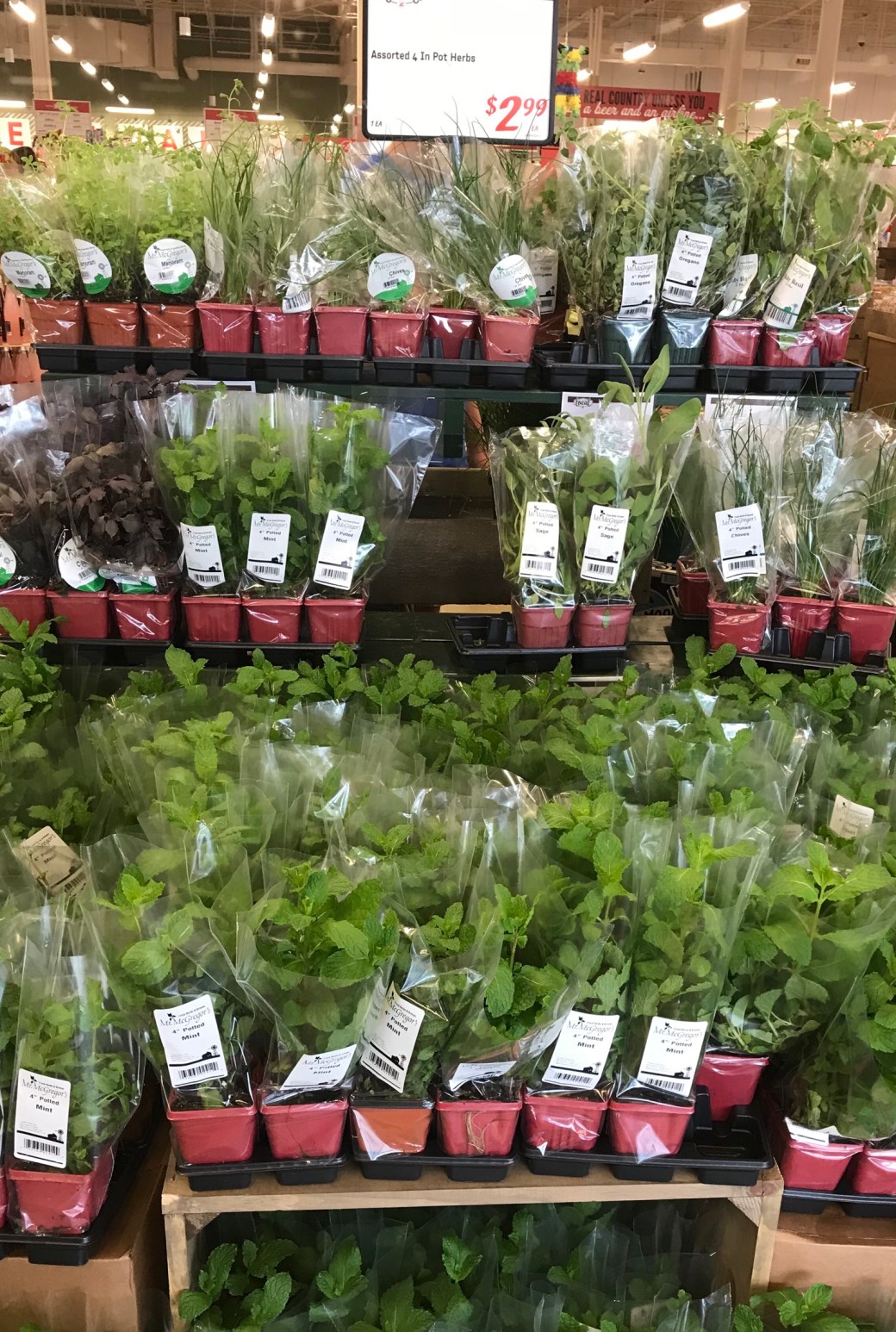 1DD5EEC6-F2B1-44FF-8CCF-1F91A43C62A1