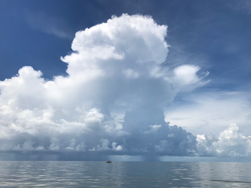 1007B096-94E2-4F6A-BB4C-5B521931AD11