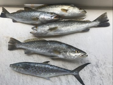 13C52E53-B044-49D6-98AB-661DBC357337