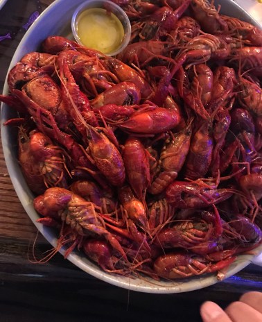 3F961C00-6C8C-4407-B3DB-069EFFB7E598