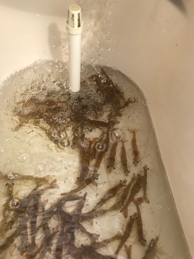 57AA436F-E154-4140-8F57-A220BC4D731C