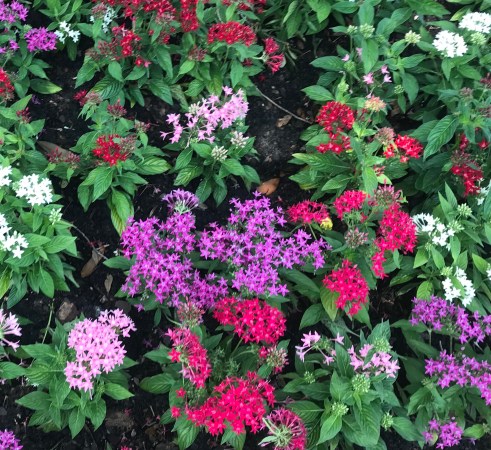 DC3E9A5E-6DDC-473D-B42A-DDAD37CC0B0D