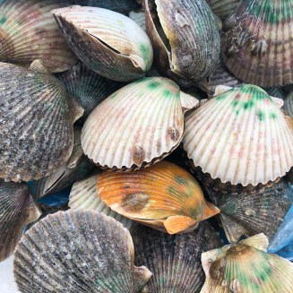 1F7862EB-DB7C-4A64-8AB3-2898BBD84721