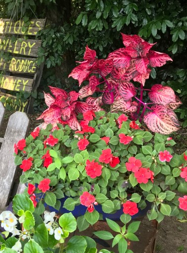 59FD5B93-020D-4A25-BFBA-6A5AB6E8E686