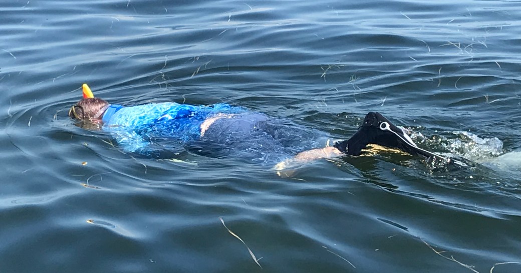 893EF3E7-B38D-4D1E-A057-014284F17BE6