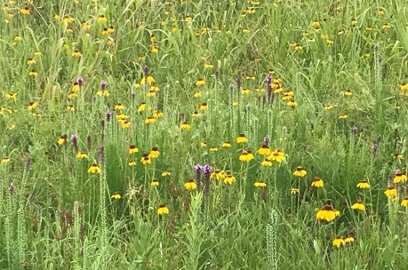 9645F331-5CF9-4FB8-BC3E-D2FB0F527EEB