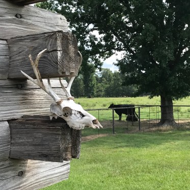 AB33955B-FF5C-4AC0-8722-A49C685EC385