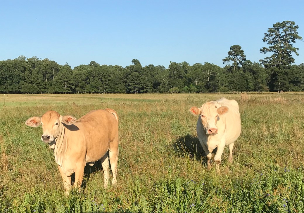 B3C65CAA-48CA-43E4-A058-5BF1EEF83742