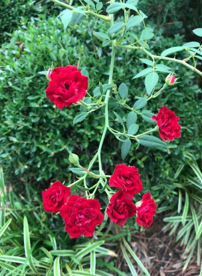 CB049722-6C82-4358-B89F-374A4E07BE0D