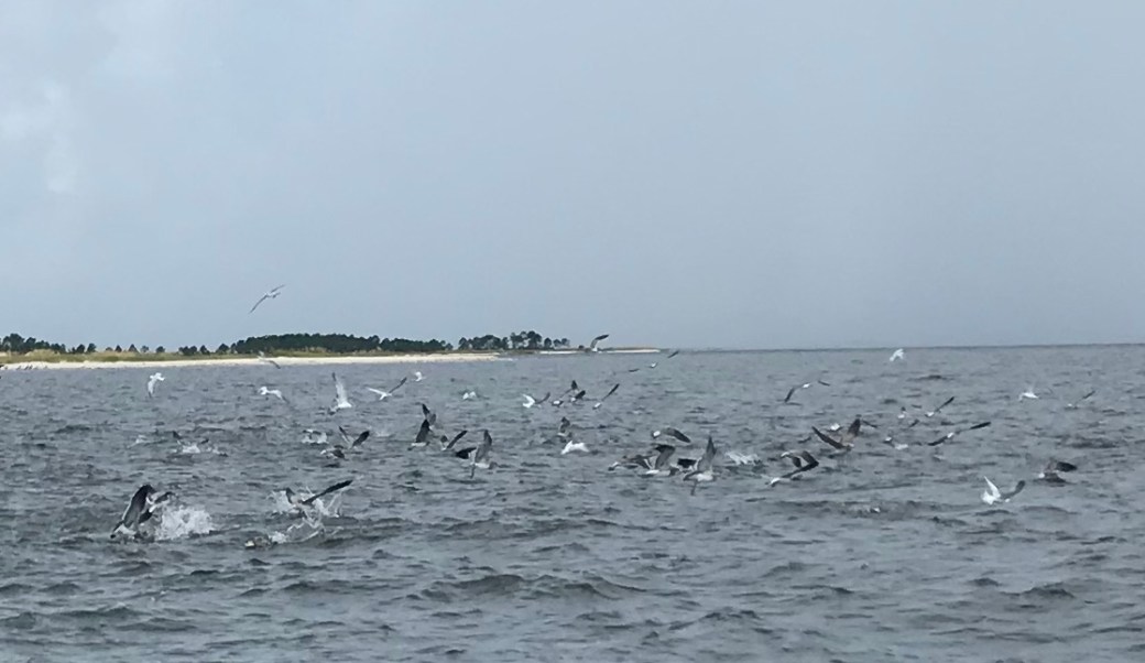 076D33D6-F7AE-4E15-B083-205529F63EC2