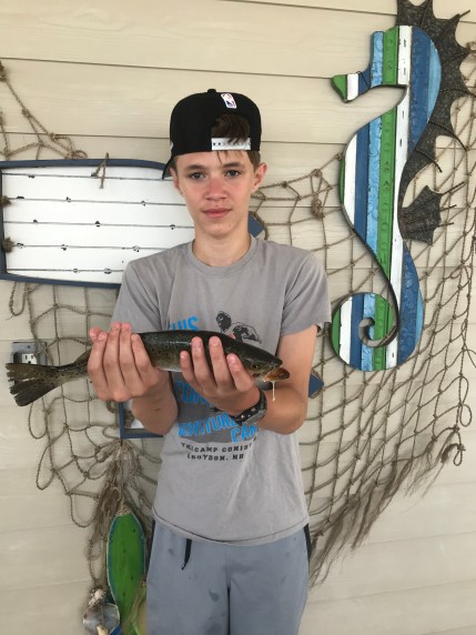 0EAA9325-61A3-4DB8-A902-5A3D1D479909