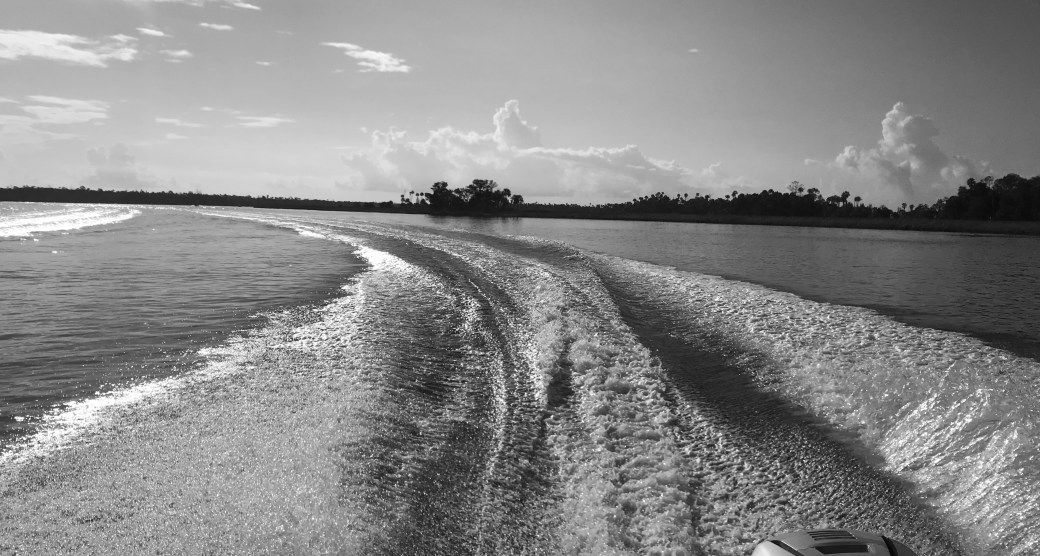 16351B17-DBF7-49AE-852D-43FF2EC81687