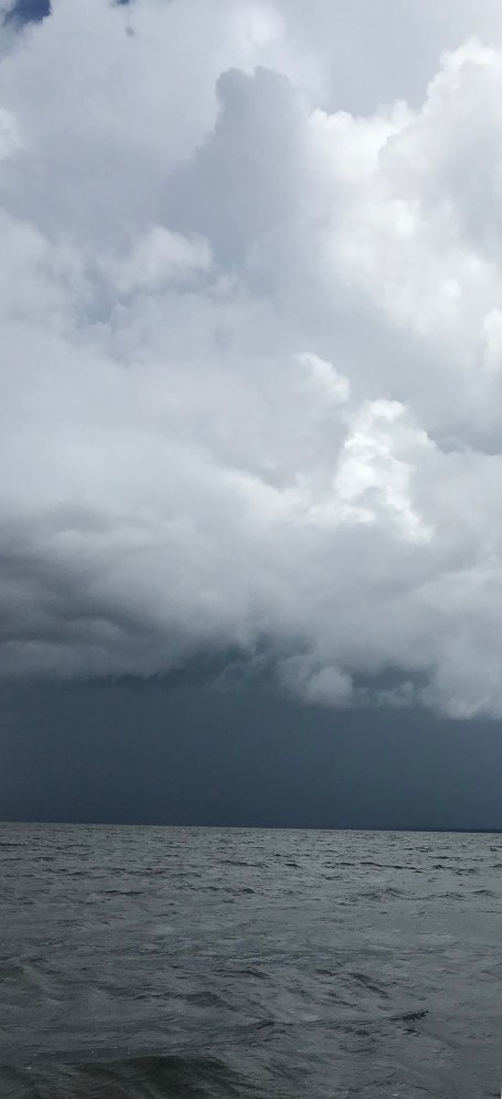 17D05B54-C8A8-47DC-9423-B86F7FDFC9E6