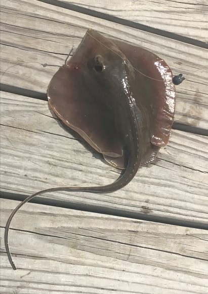 28F0CC73-F247-4586-99E7-C2E5795761D6