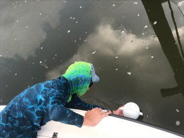 3011375F-833B-4C12-A964-08C2EECCAEDD