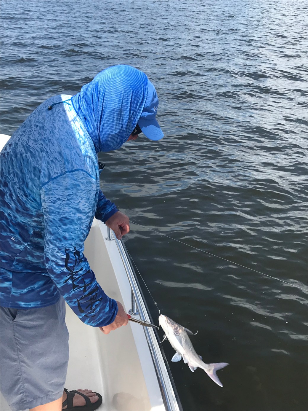 316A8871-EAE8-44B1-B8DA-CBC42C0E3A0E