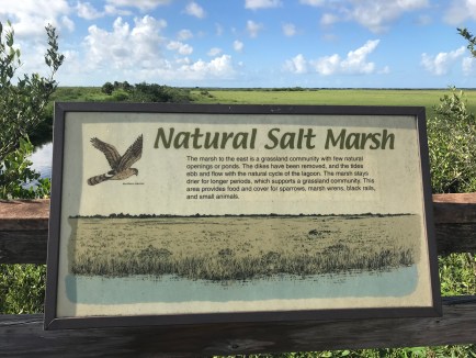 5A4FC492-4600-4B8D-8892-D1504B5DB1B8