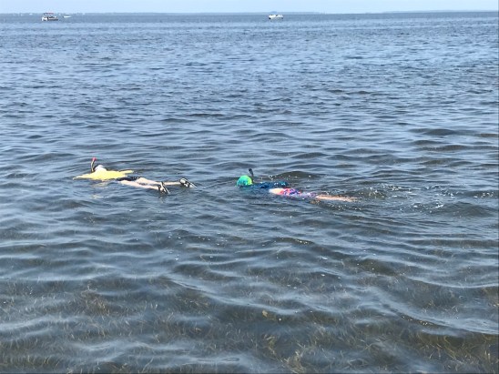 5A767E66-5B91-4237-8072-16FEEC367369