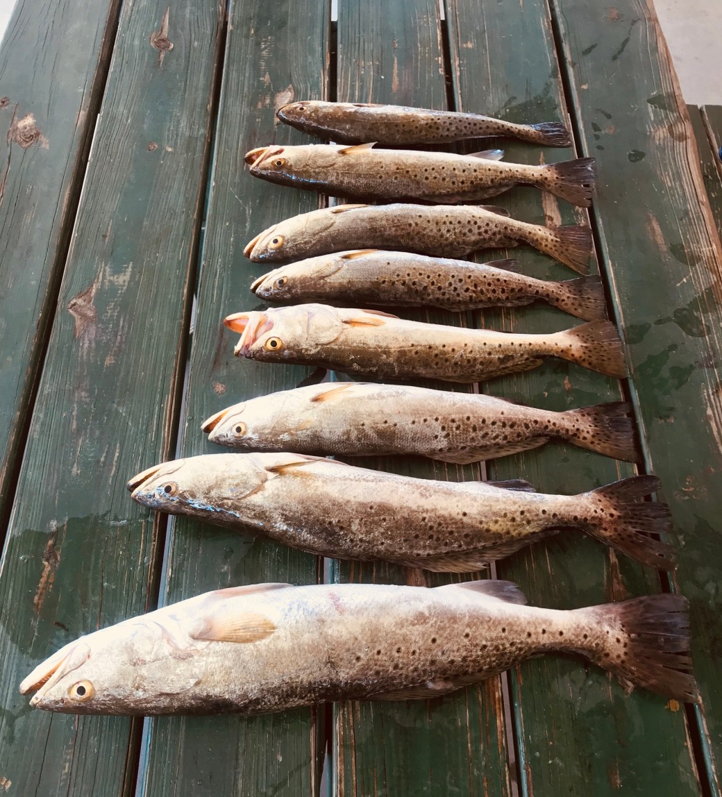 5CF21200-314A-4355-B77A-BABCD4E333EE