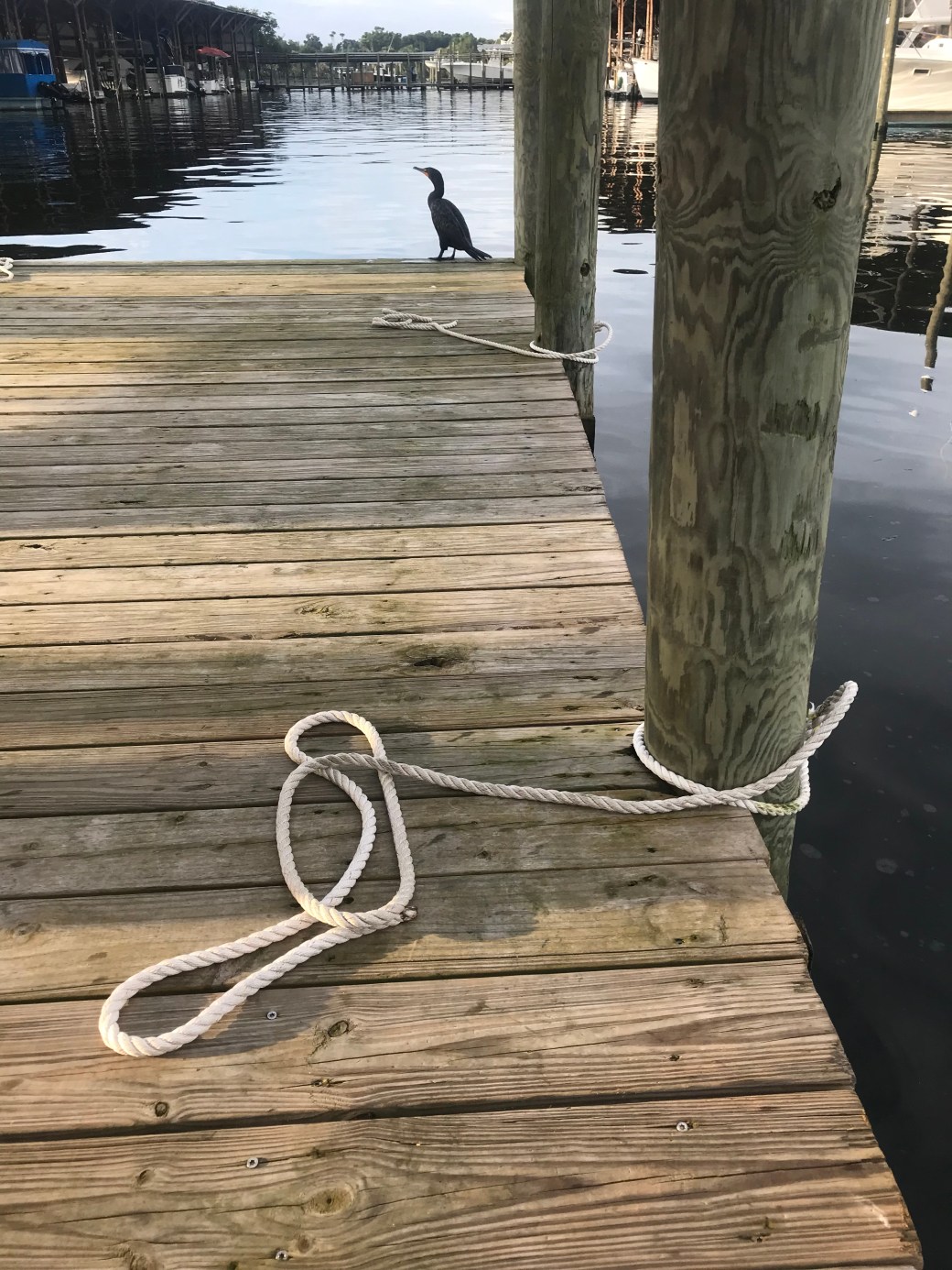 64735035-FB96-4F43-9328-ECC4C9476658