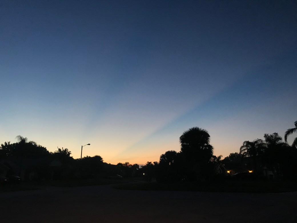 67829503-8A30-405B-8BB5-D9BB41658414