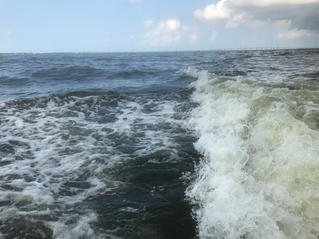 6FDD7DAE-4ABD-4646-A9FA-01145E65DE3F