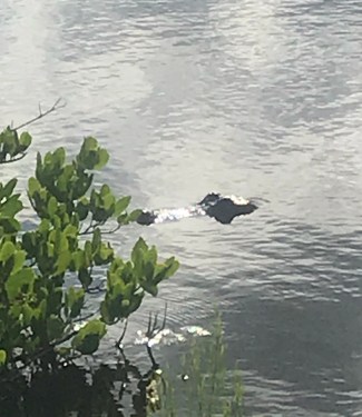 8266BC09-96EA-4C9C-A0D8-6A186057059C