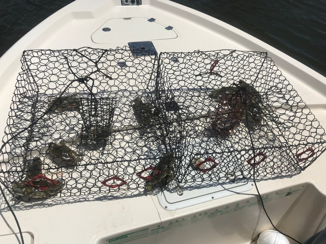 8663E265-E066-4237-ADF9-8B482B546D9B