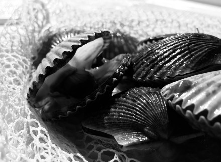 A0C907AC-464C-482A-B9BF-602FC6CE9048