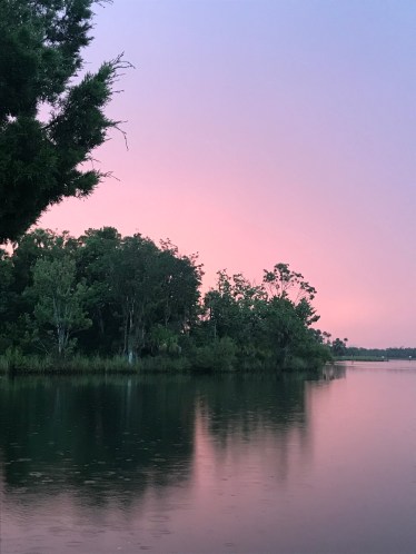 AFD0014F-F9EF-4279-9022-6FE837D649D8