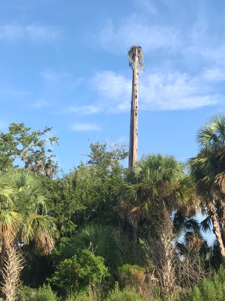 AFEF5414-A3D4-41F1-94CE-508670730FA9