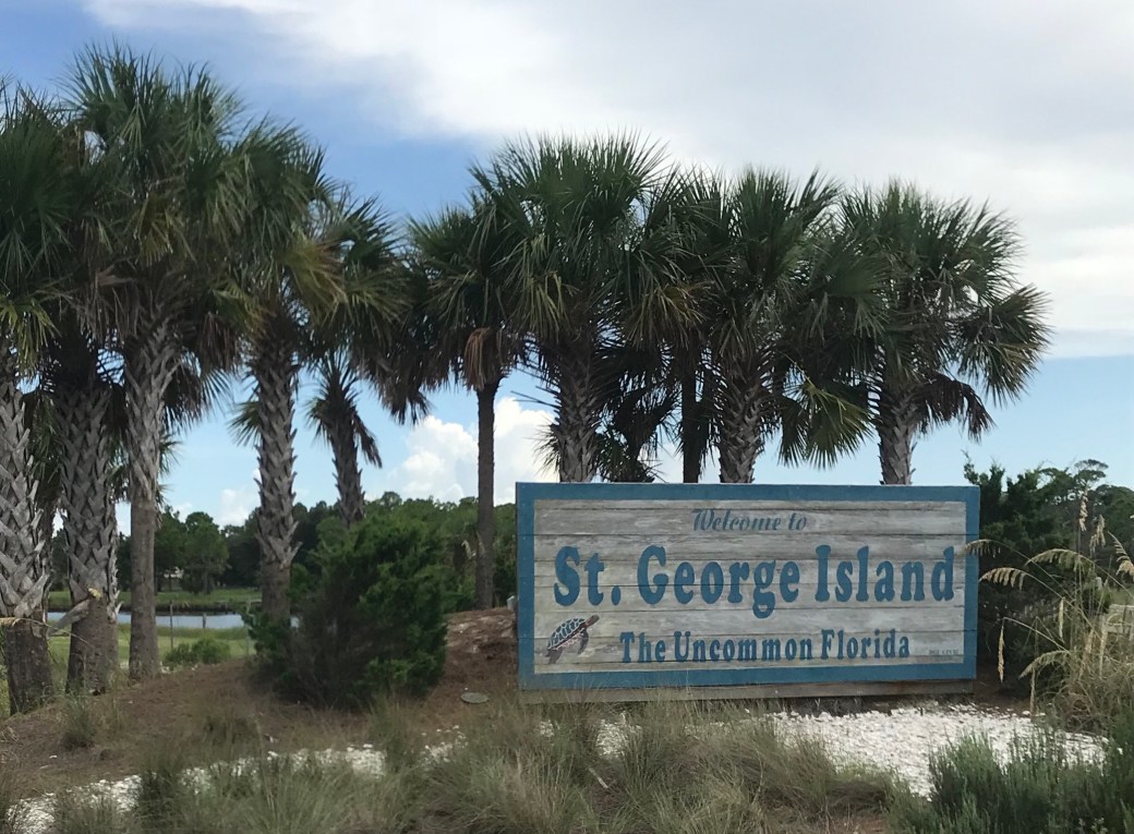 B03CF316-B01E-4EE5-A3E0-02B2D900DE1E