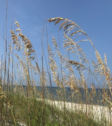 BBFDFB54-506A-467D-B00C-1FCD918D031D