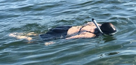 D983ED02-8966-407E-A8F5-18DE94101592