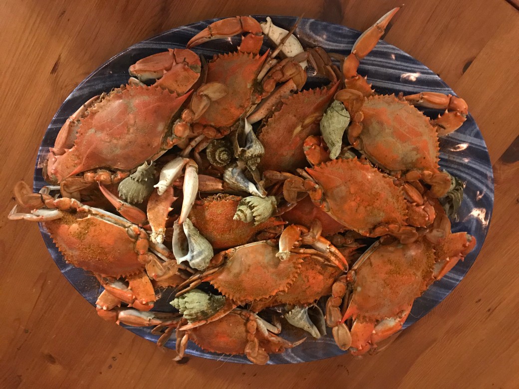 DB7AC0B4-9C33-48A6-AED8-AF855580827B