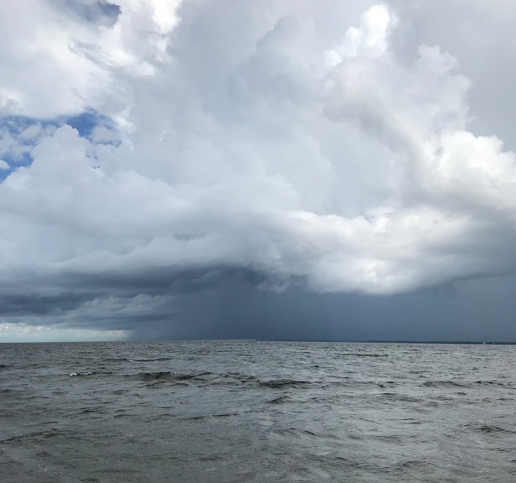 EC1E3B33-BD17-499B-B93C-EE1087566833