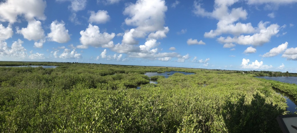 F3289689-6DE0-4232-BFC7-EDF75FD653E7