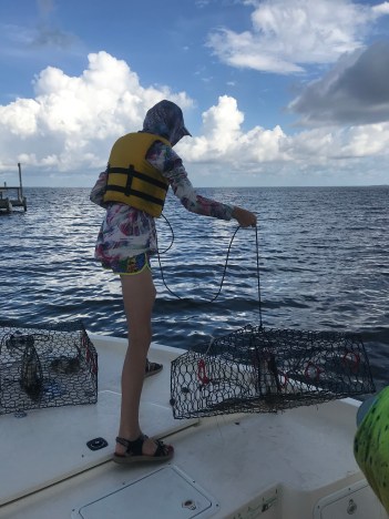 F81D37EC-0038-4E2A-AEFE-F59C3280EAFA