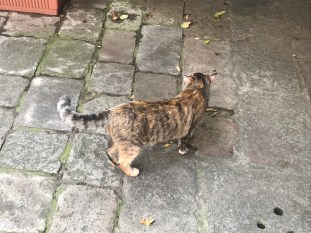 01074F0B-40A8-4035-9E17-4E11B224B27F