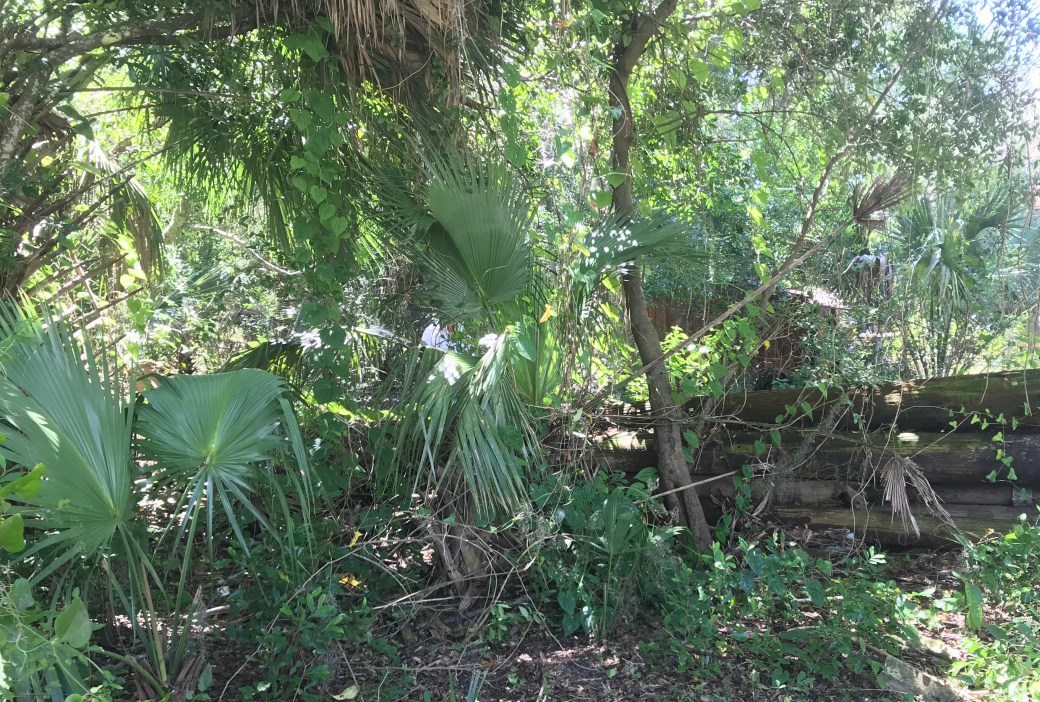 3C86E115-4133-436F-97FB-D79F9DDC9375