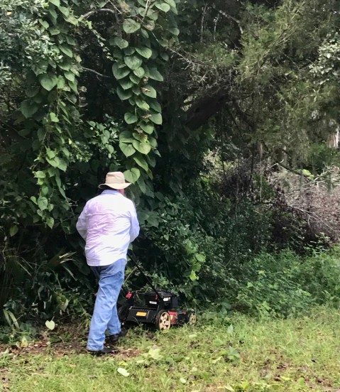 5B3B5A88-8CF0-40B0-8CEB-D355EFDA40D1