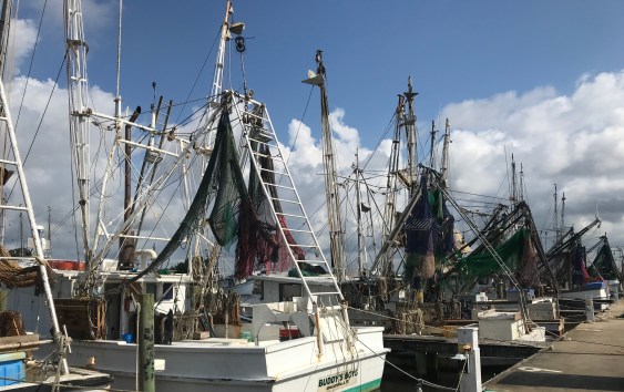 69B7EC07-333D-4D98-A3E8-663CBDA0B742