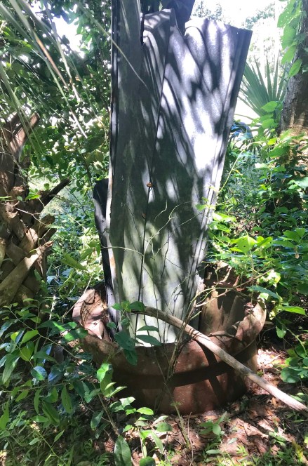 F8A6E1A5-BDDA-4BB9-82B7-37FEC44460FE