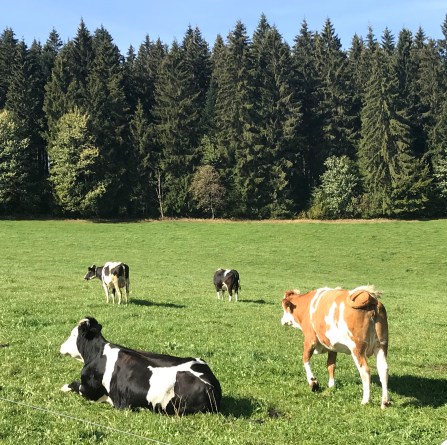 013A1621-BBA8-4E40-8774-311A670D3ACE