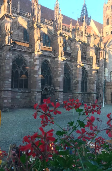 2A3164A3-1809-4BAF-88A9-22AFE773F86A