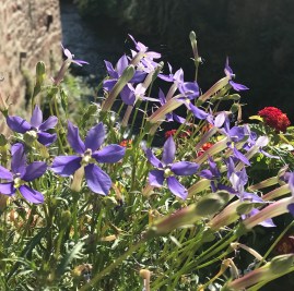 3205168D-7898-454C-9680-E079D9C213DA