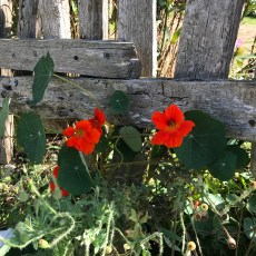 3B53903D-A009-4EF4-B660-52121ED58E37